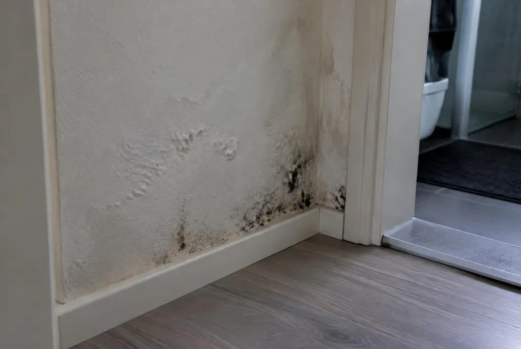 Lekdetectie Biddinghuizen – vochtplek met schimmel op een muur